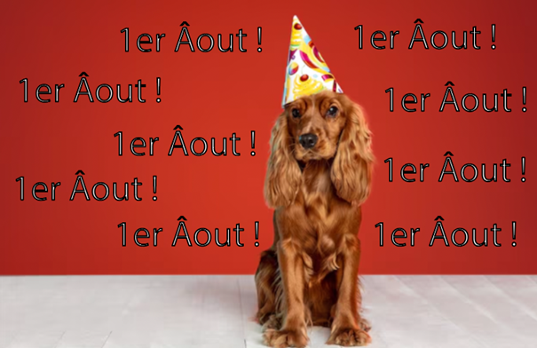 Photo cocker avec capeau de fête